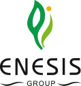 Logo Enesis